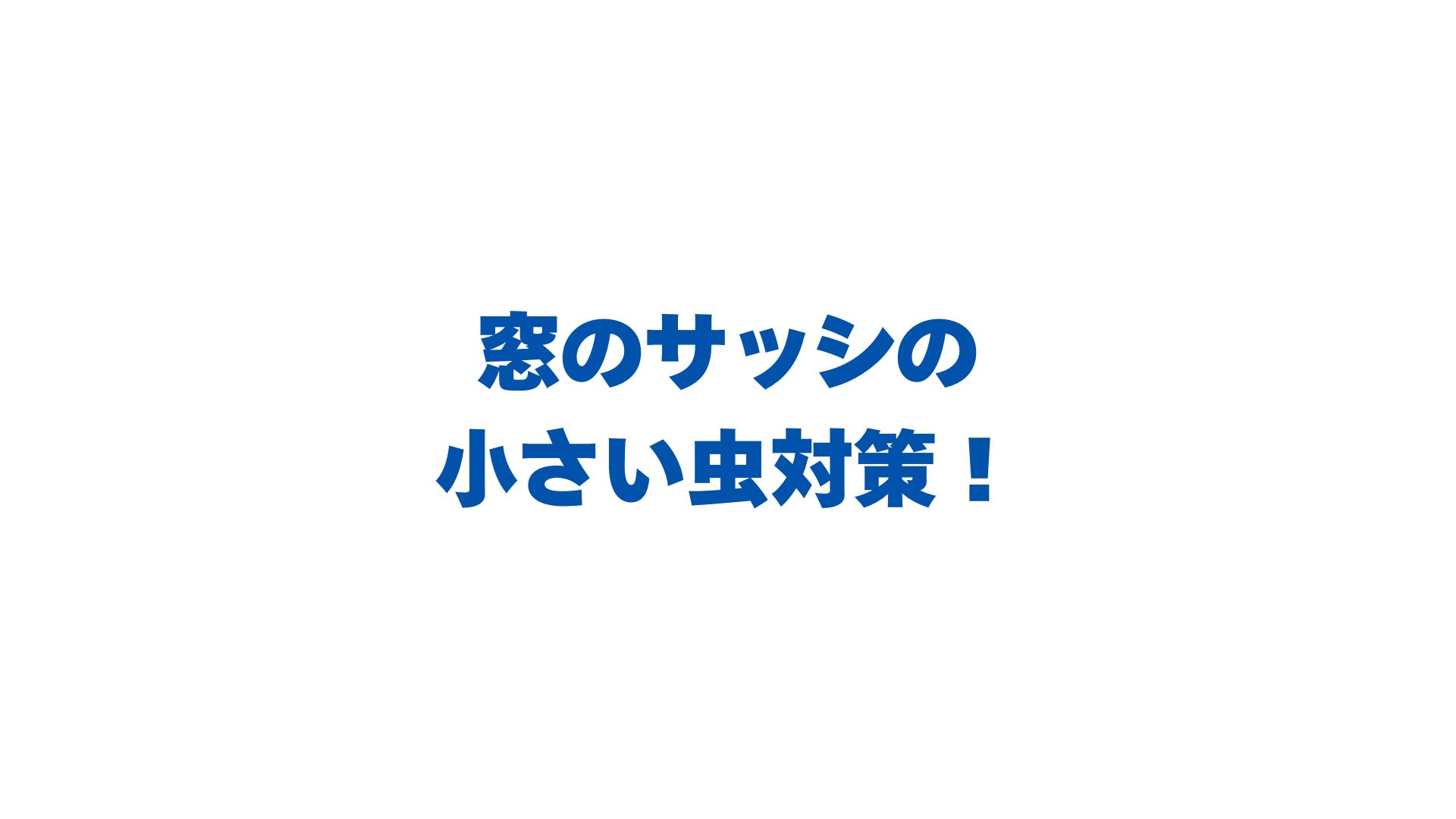 窓のサッシの小さい虫対策！大量発生の正体と侵入をゼロにする完全ガイド