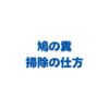 鳩の糞の掃除の仕方！病気を防ぐ手順と洗剤・服についたときの対処法