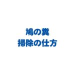 鳩の糞の掃除の仕方！病気を防ぐ手順と洗剤・服についたときの対処法