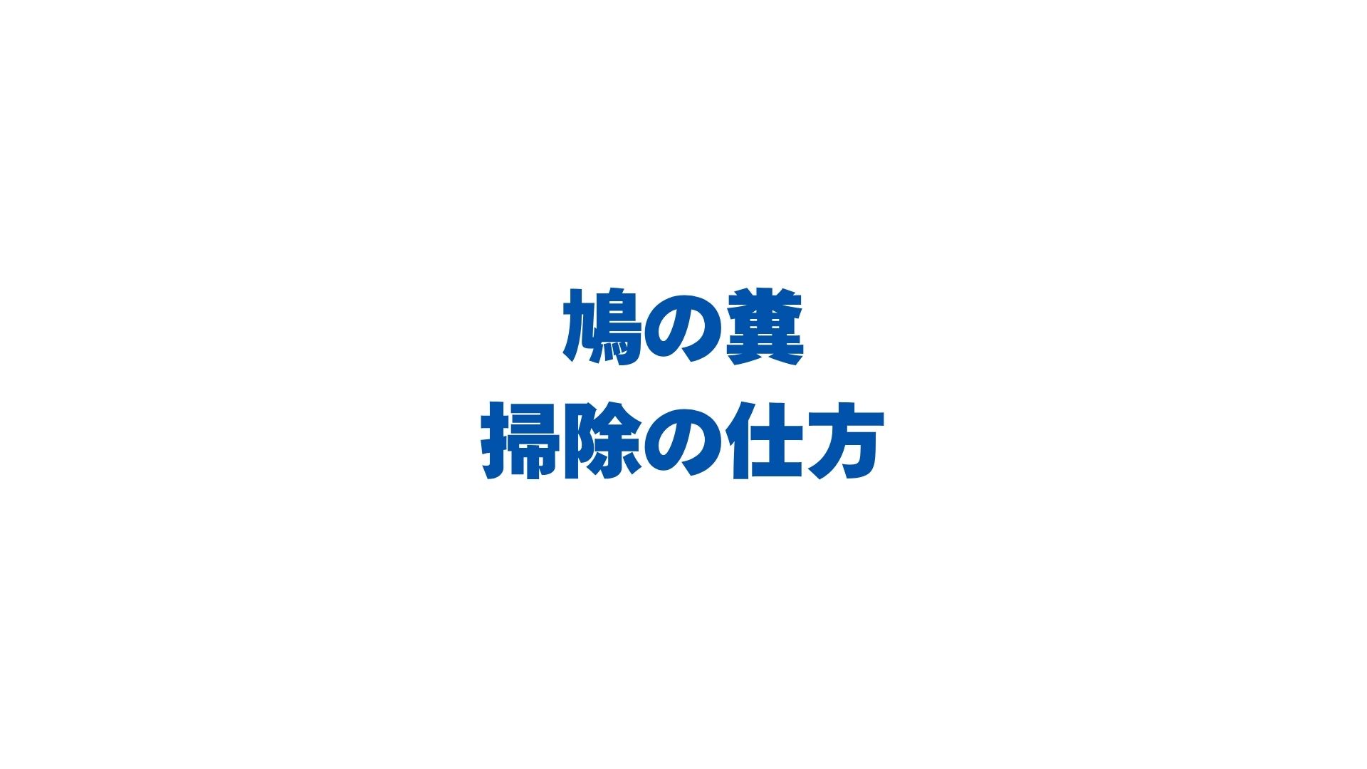 鳩の糞の掃除の仕方！病気を防ぐ手順と洗剤・服についたときの対処法